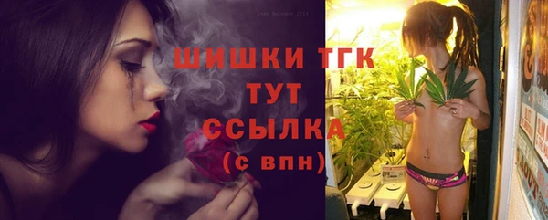 стафф Аркадак