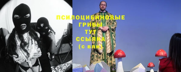 стафф Армянск